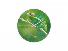 Часы настенные Nicole Time NT503 в Октябрьском - oktyabrskoe.mebel-nsk.ru | фото